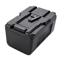 Li-Ionen-Akkus für Sony BP-300WS Camcorder